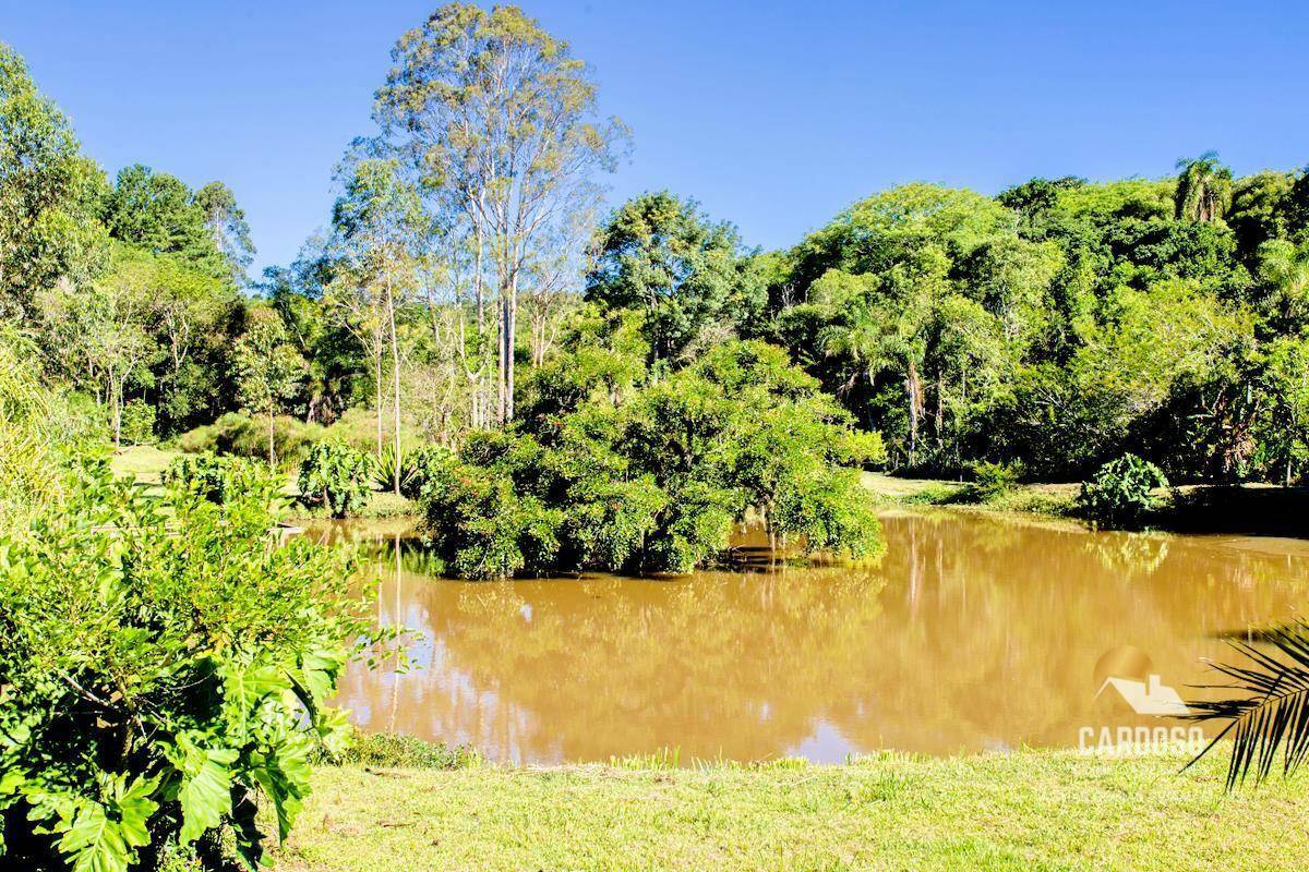 Sítio à venda com 6 quartos, 30000M2 - Foto 6