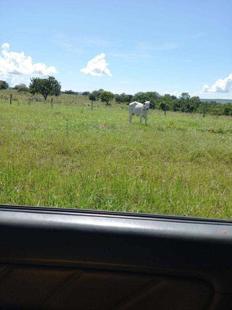 Fazenda à venda, 11610000M2 - Foto 15