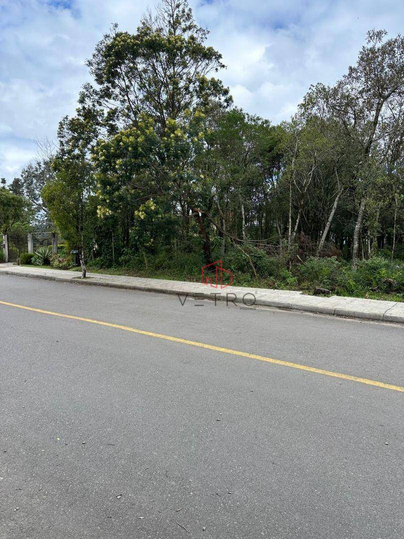 Terreno, 1552 m² - Foto 4