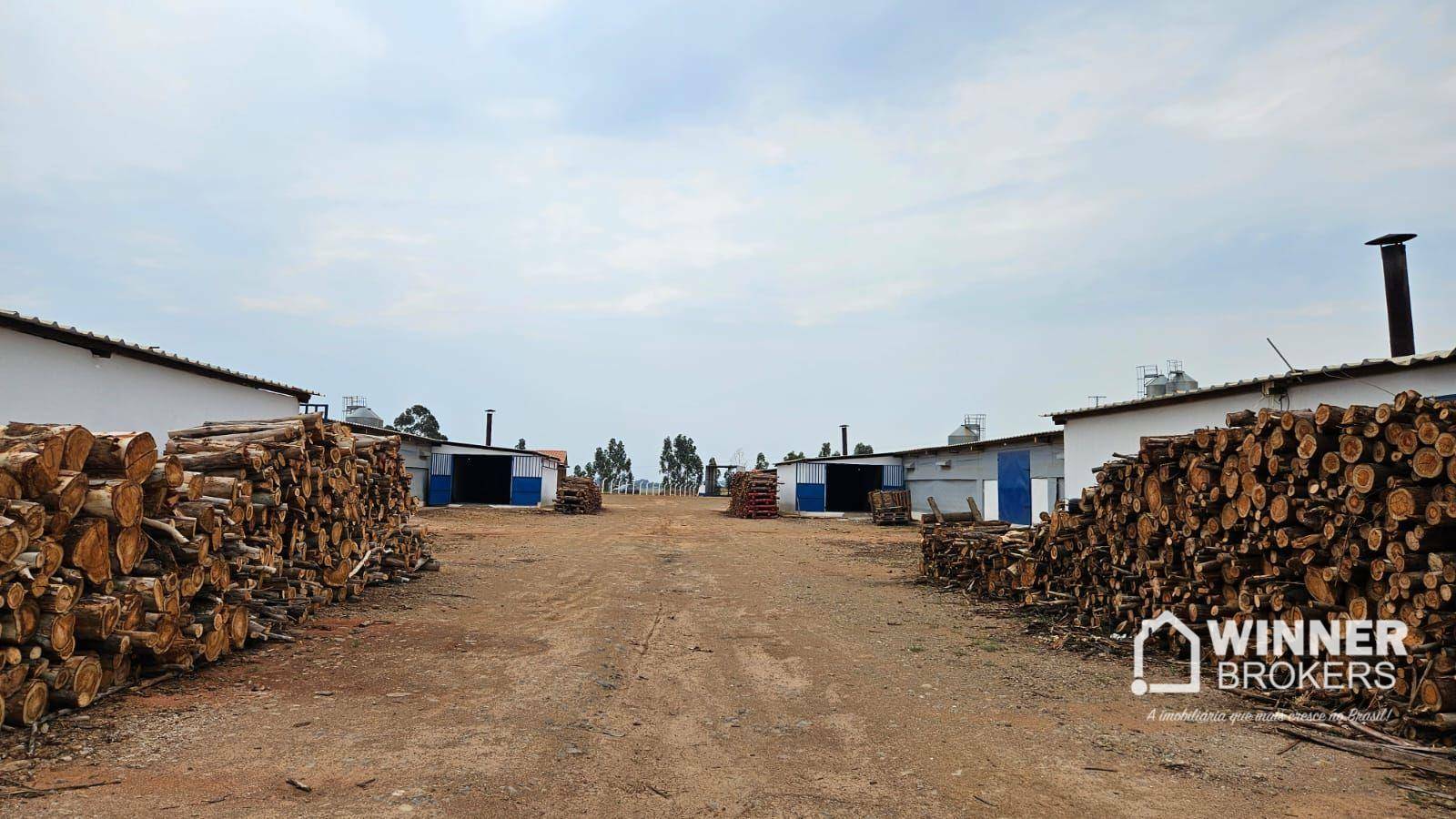 Sítio, 2 quartos, 6 hectares - Foto 3