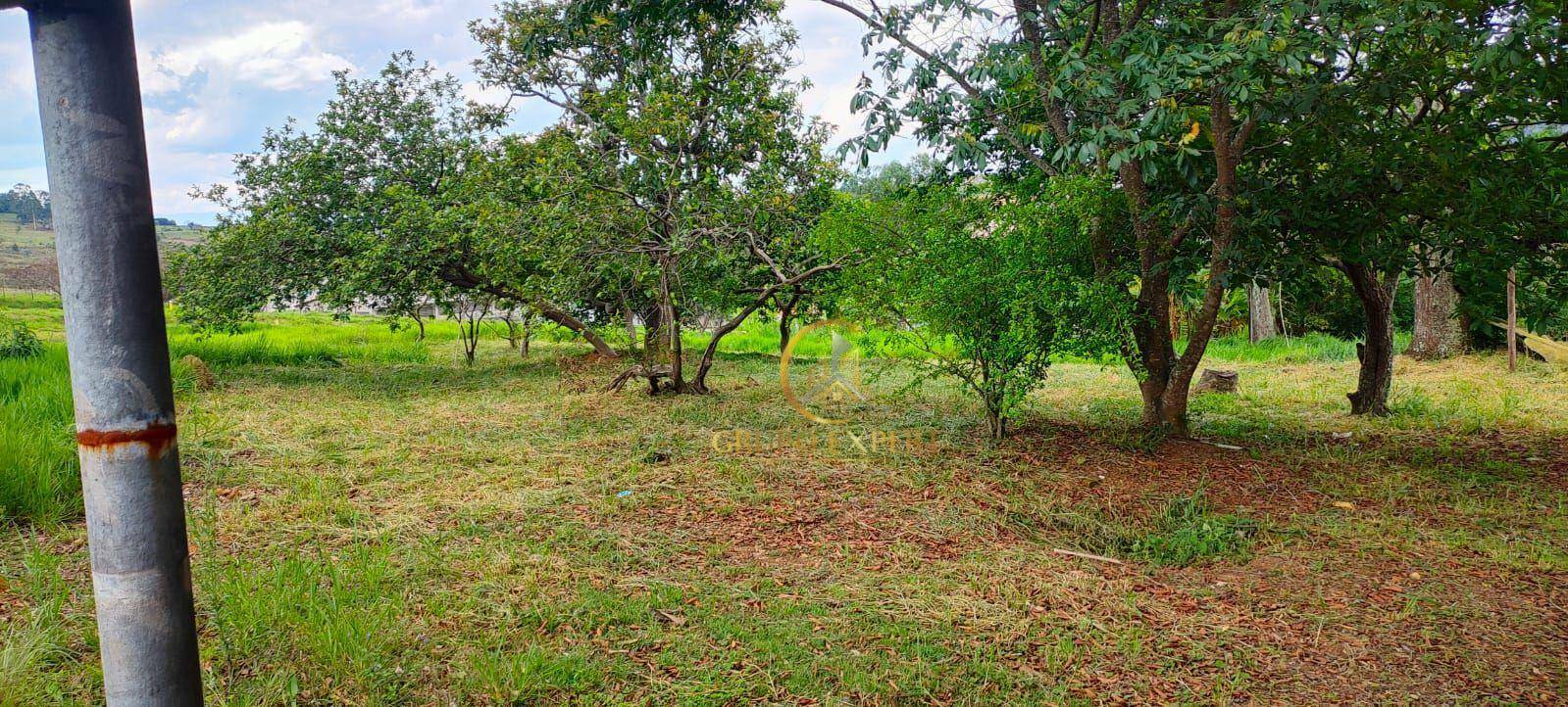 Terreno à venda, 20000M2 - Foto 3