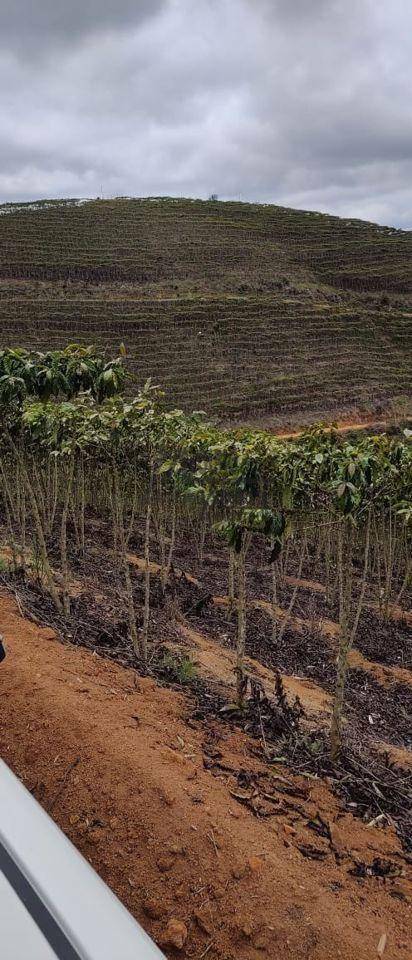 Fazenda à venda, 1452000M2 - Foto 32