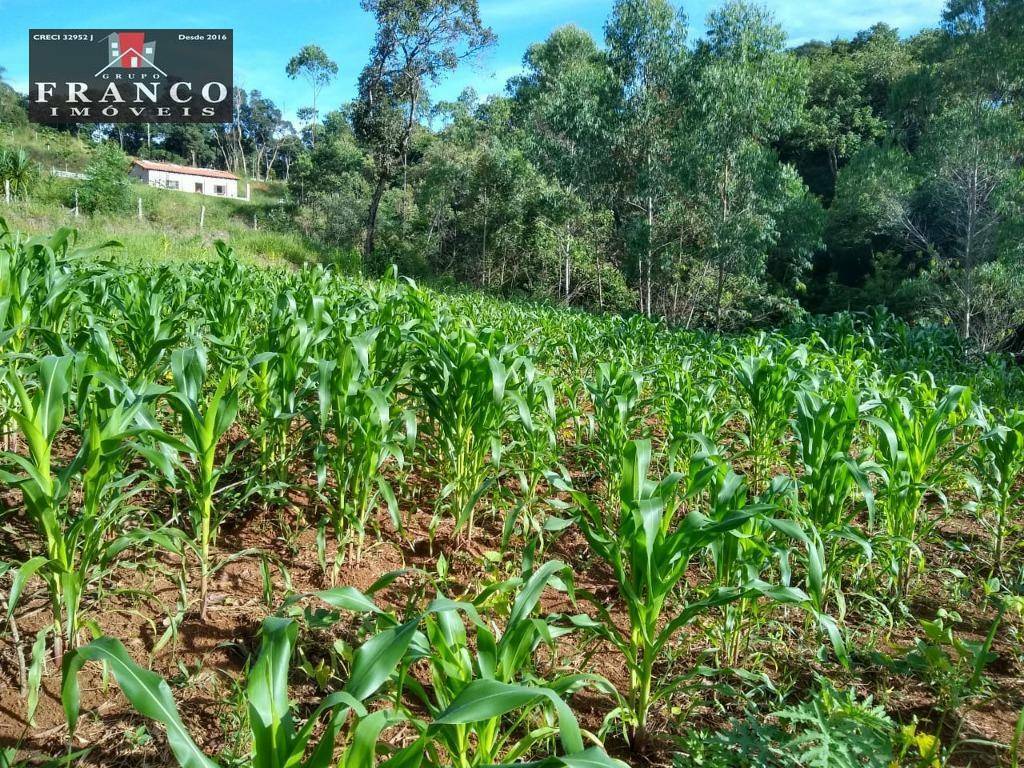 Terreno à venda, 2000M2 - Foto 3