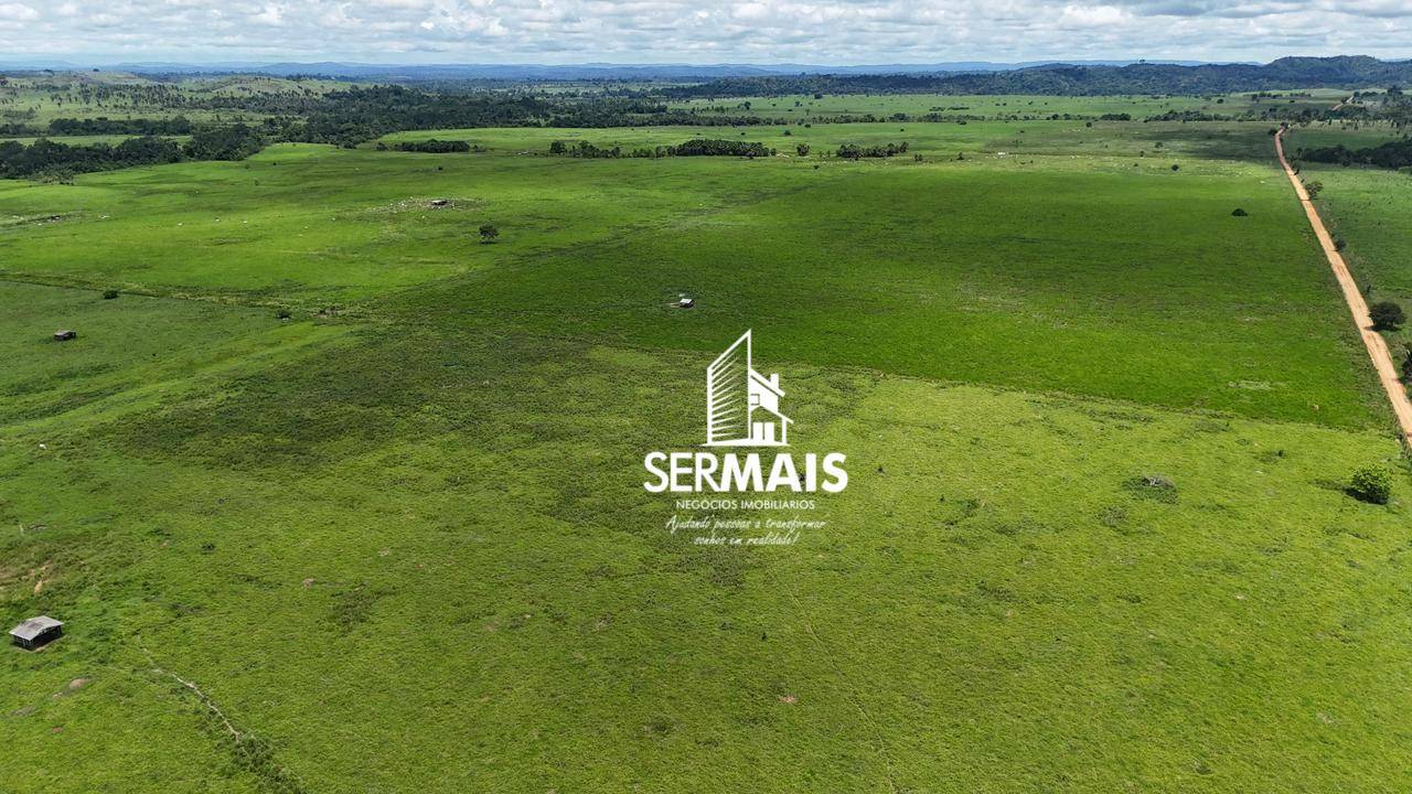 Fazenda-Sítio-Chácara, 1360 hectares - Foto 2