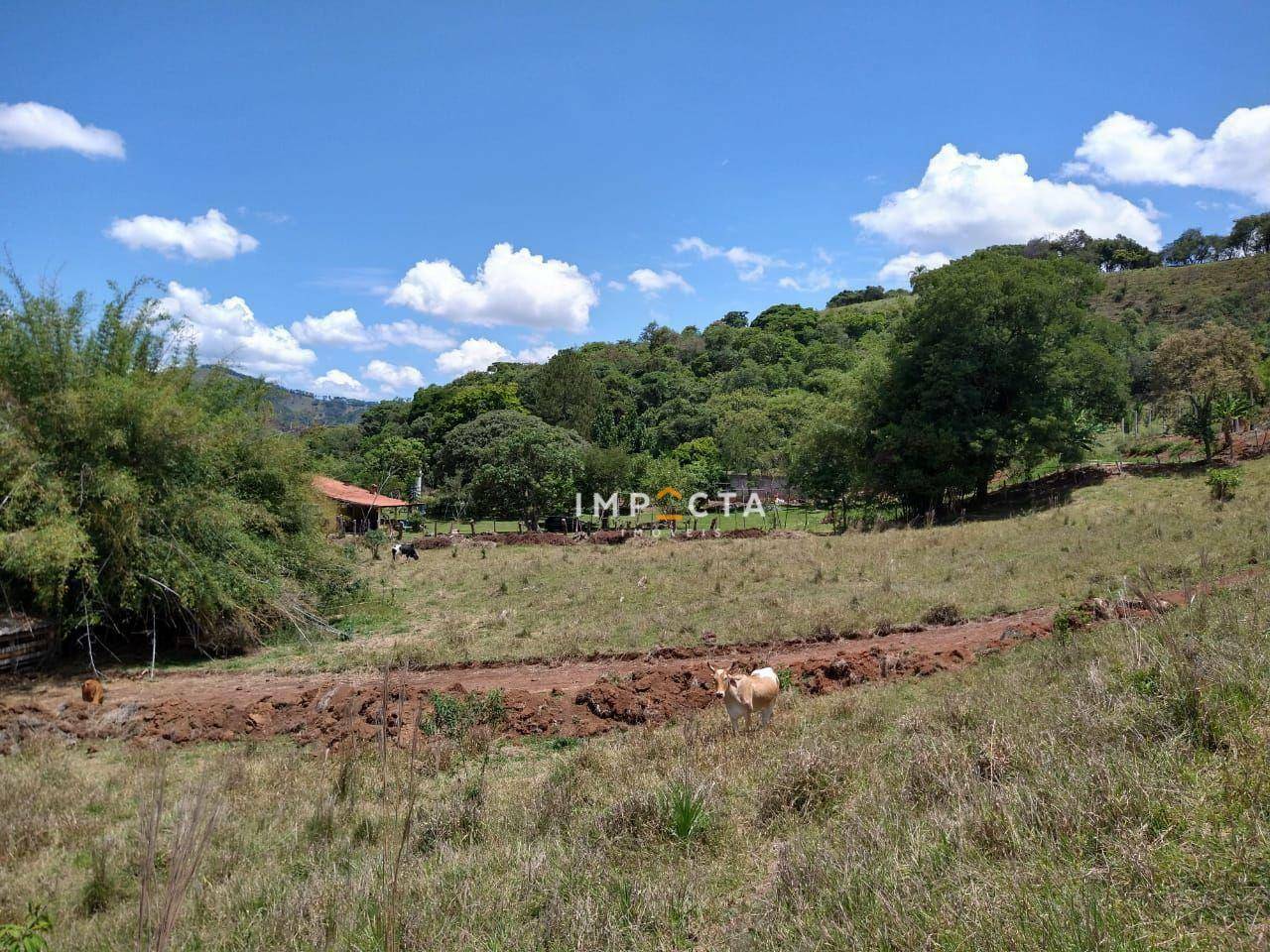 Sítio à venda com 3 quartos, 58000M2 - Foto 43