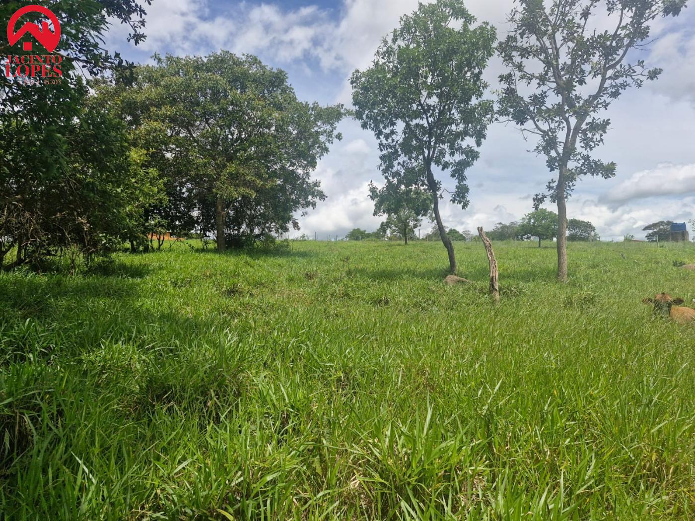 Fazenda à venda com 2 quartos, 120m² - Foto 40