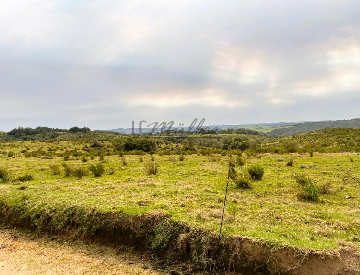 Fazenda à venda, 386m² - Foto 5