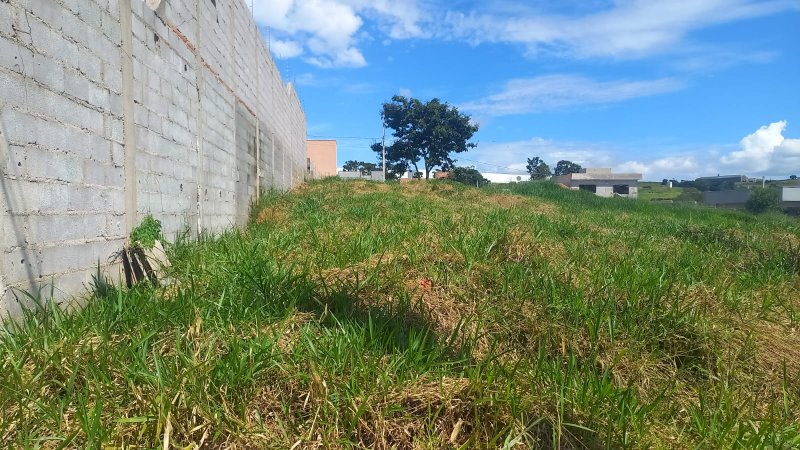 Terreno à venda, 250m² - Foto 3