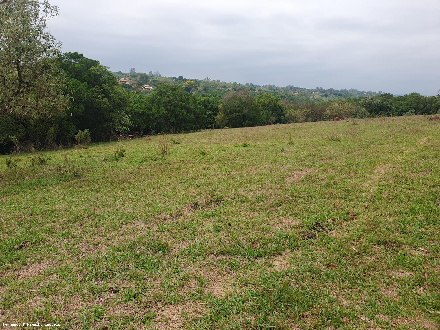 Fazenda à venda com 3 quartos, 80000m² - Foto 27