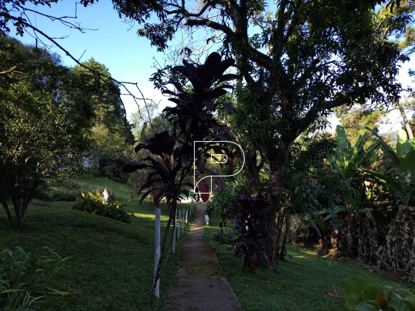 Chácara, 10 quartos, 1 hectares - Foto 3