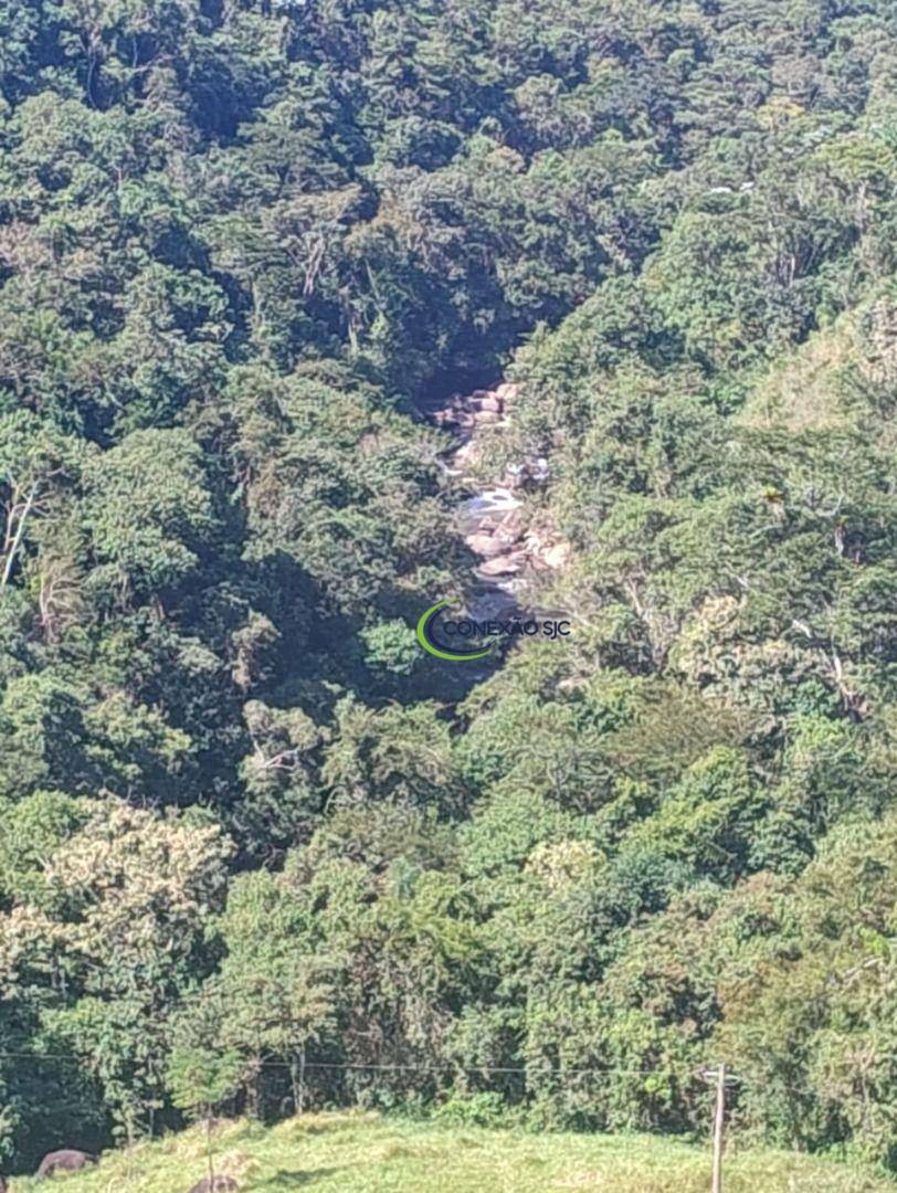 Sítio à venda com 2 quartos, 726000M2 - Foto 7