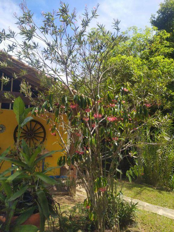 Sítio à venda com 5 quartos, 502m² - Foto 36