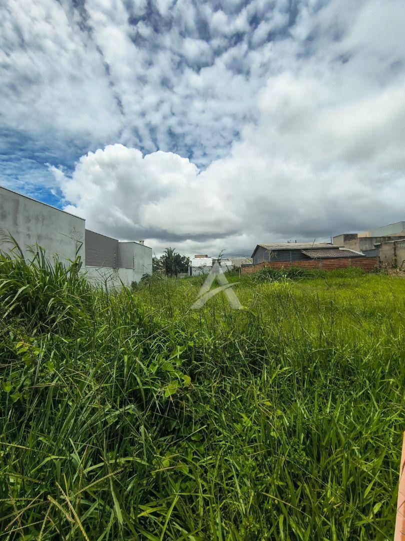 Terreno, 200 m² - Foto 4