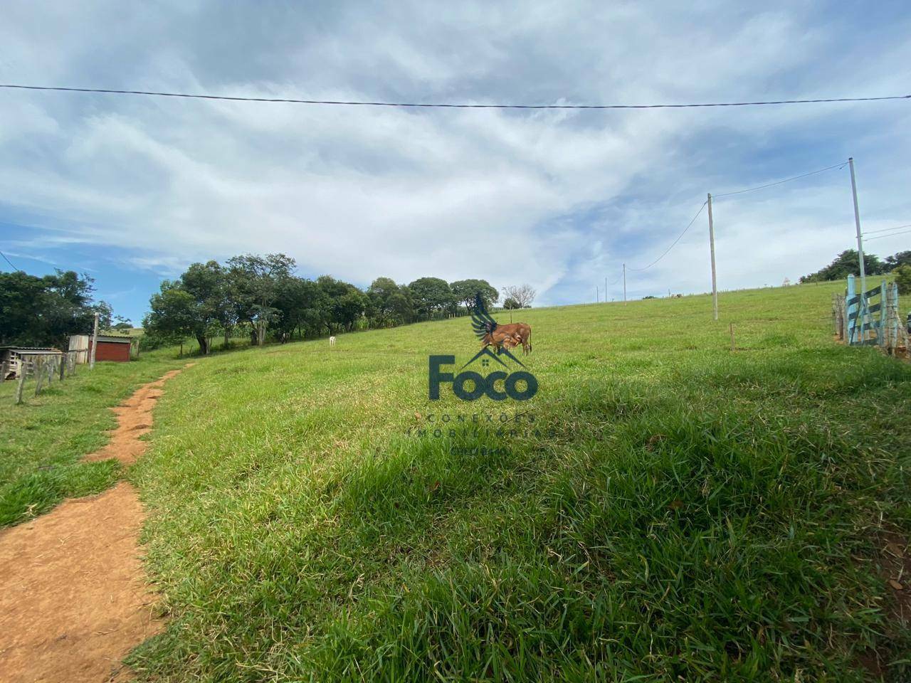 Chácara à venda com 1 quarto, 17000M2 - Foto 12