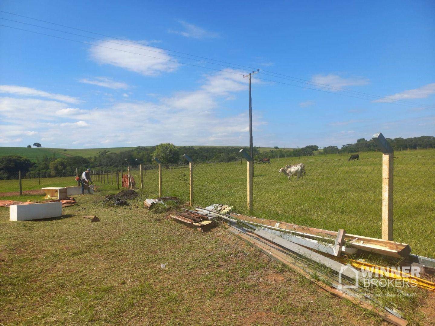 Chácara à venda com 1 quarto, 20000M2 - Foto 6