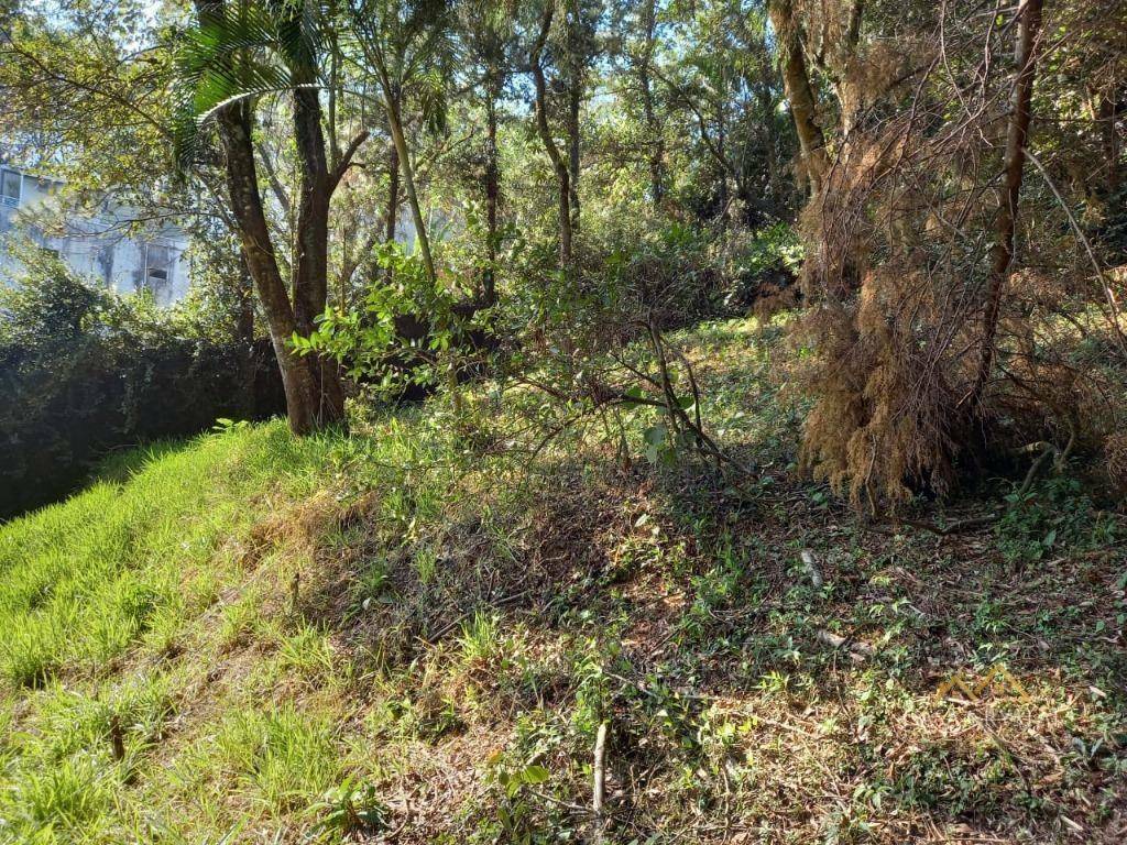 Loteamento e Condomínio à venda, 1000M2 - Foto 2