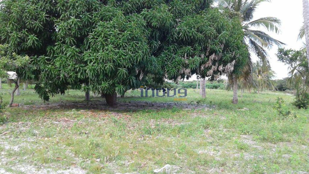 Terreno, 24 m² - Foto 8