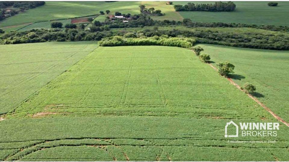 Chácara, 3 hectares - Foto 1