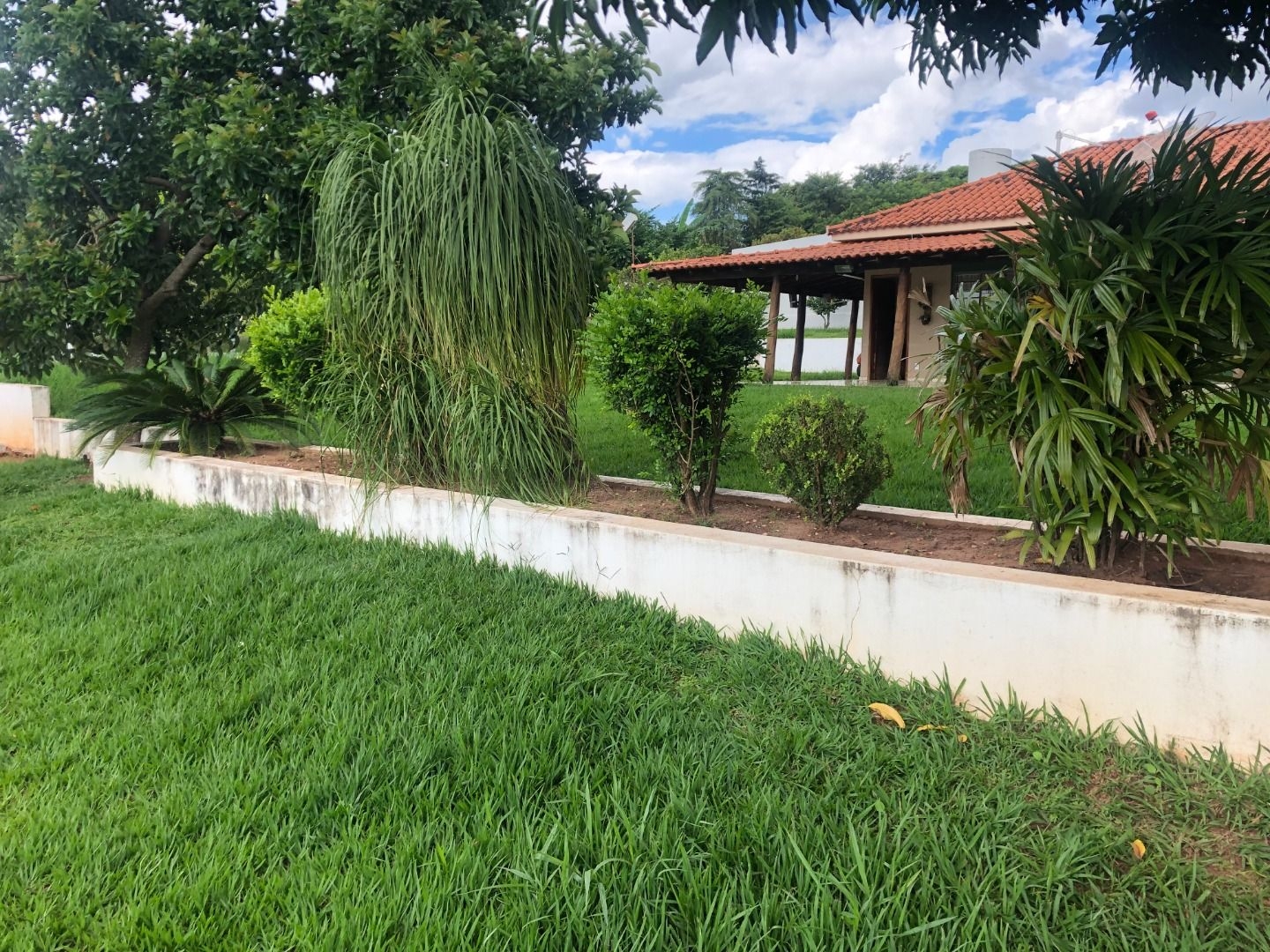 Fazenda à venda com 2 quartos, 160m² - Foto 5