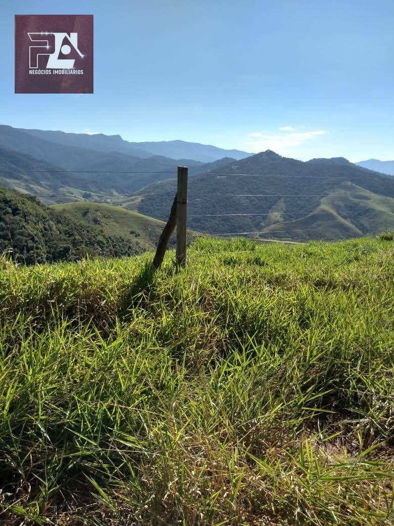 Fazenda à venda com 4 quartos, 1452000M2 - Foto 50