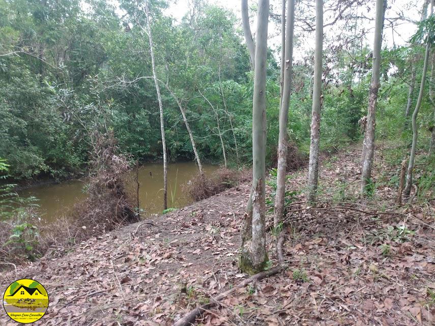 Fazenda à venda com 3 quartos, 30m² - Foto 3