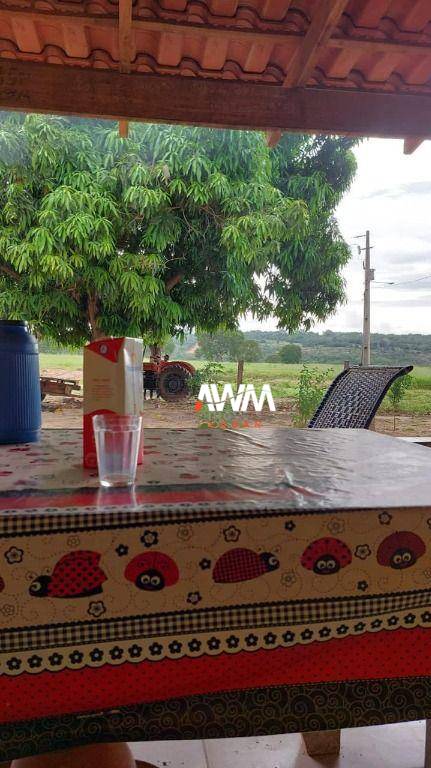 Fazenda, 179 hectares - Foto 4