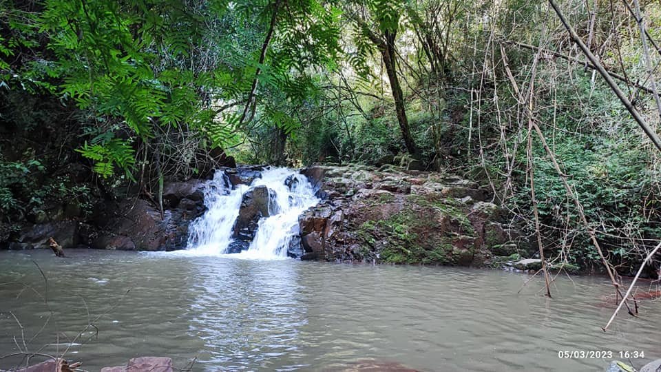 Fazenda à venda com 3 quartos, 17000m² - Foto 2