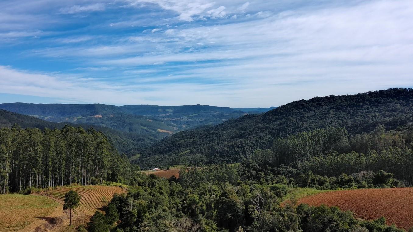 Fazenda à venda com 3 quartos, 260000m² - Foto 29