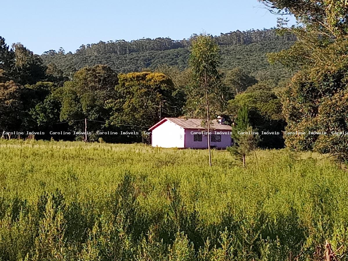 Fazenda à venda, 70000m² - Foto 6