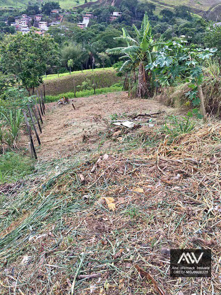 Loteamento e Condomínio à venda, 240M2 - Foto 3