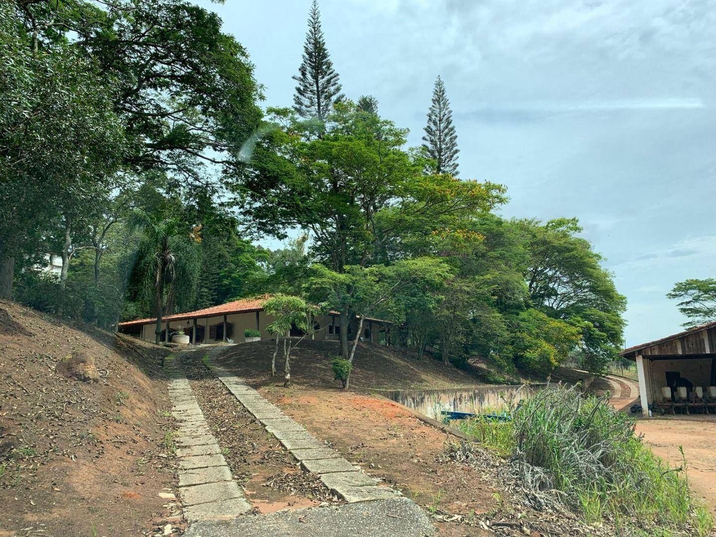 Sítio, 24 hectares - Foto 3