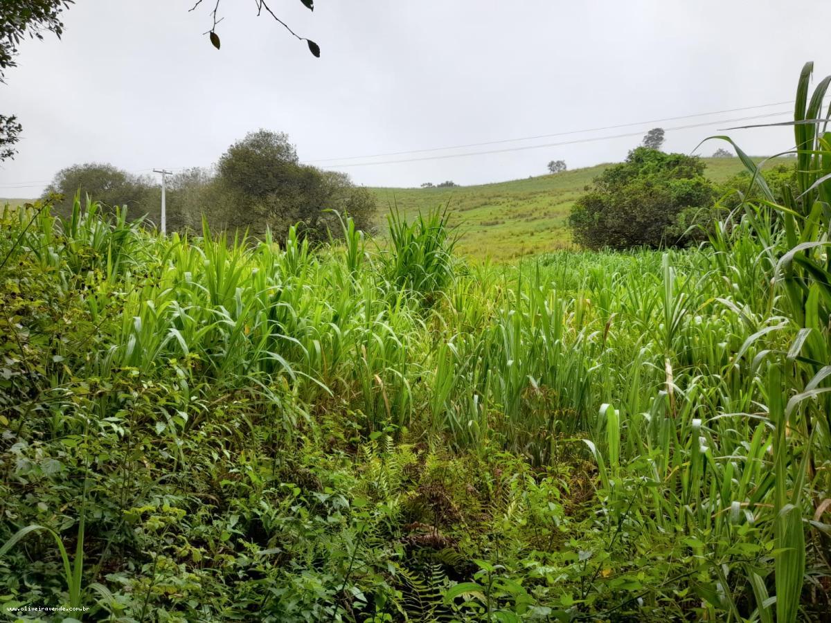 Fazenda à venda com 2 quartos, 61000m² - Foto 2