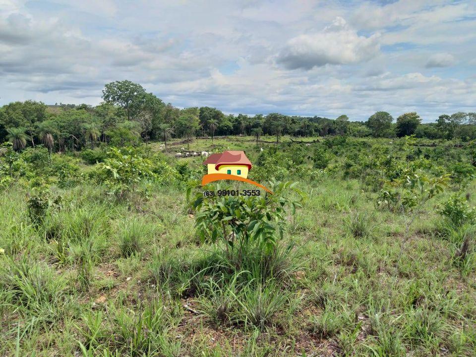 Fazenda-Sítio-Chácara, 164 hectares - Foto 2