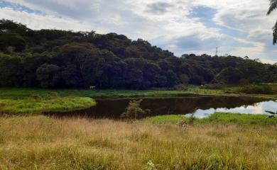 Fazenda à venda com 3 quartos, 110000m² - Foto 16