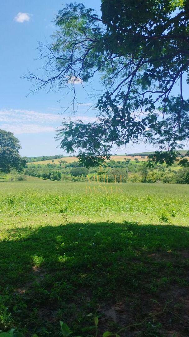 Fazenda à venda com 3 quartos, 1379400M2 - Foto 5