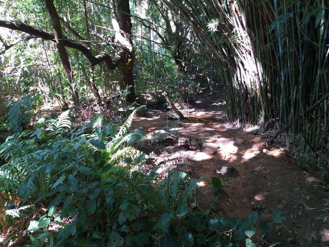 Terreno à venda, 11000M2 - Foto 8