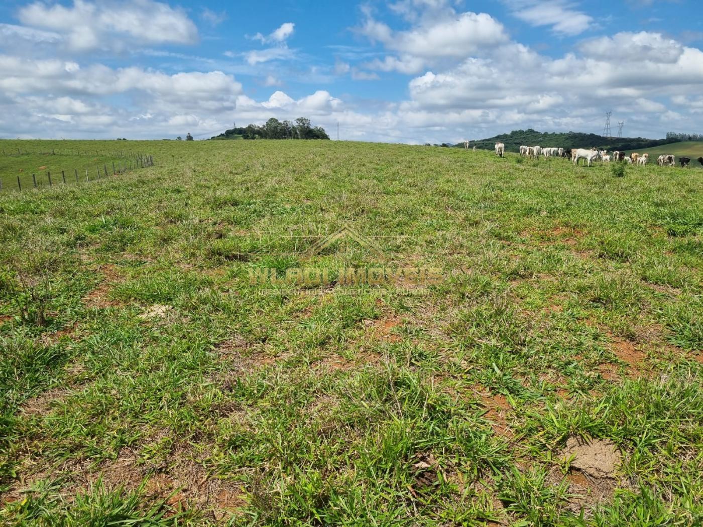 Fazenda à venda, 150m² - Foto 28