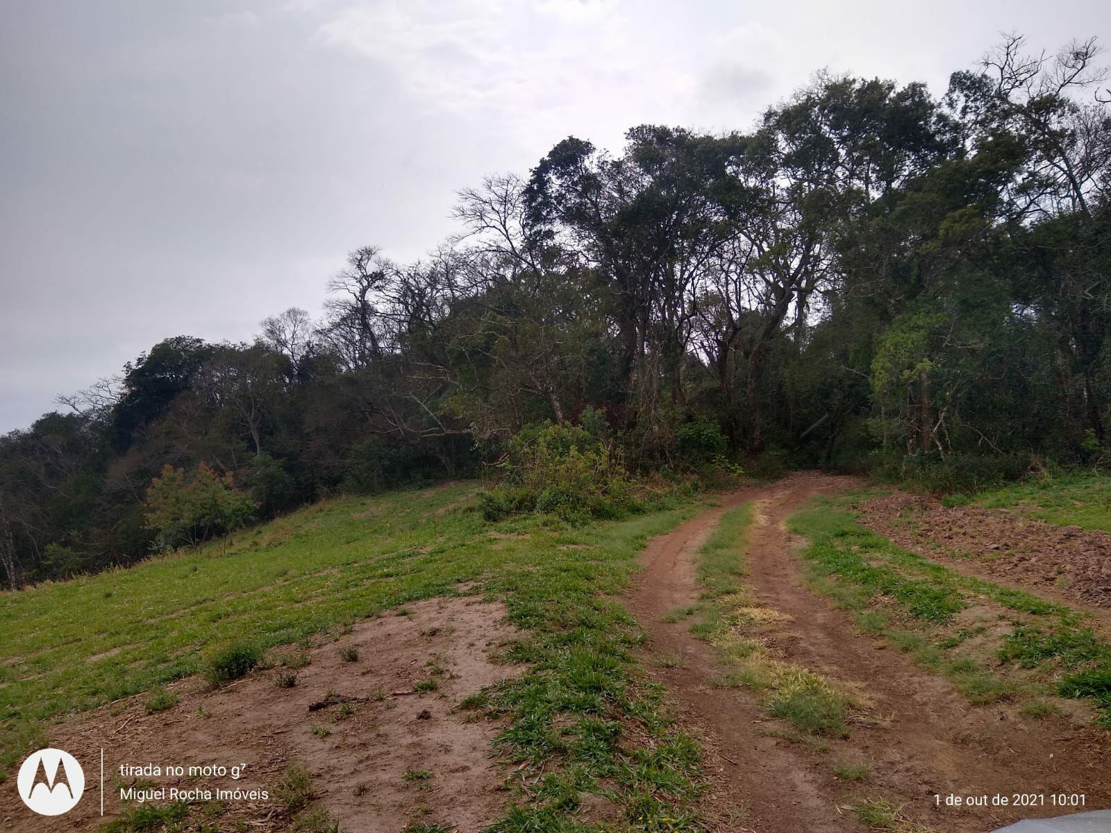 Fazenda à venda com 8 quartos, 3146000m² - Foto 23