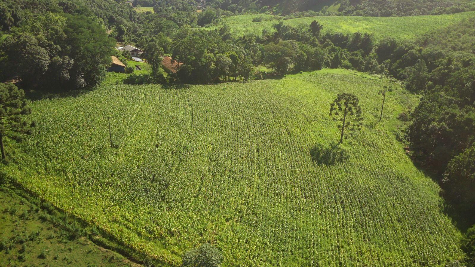 Loteamento e Condomínio à venda, 196000m² - Foto 12