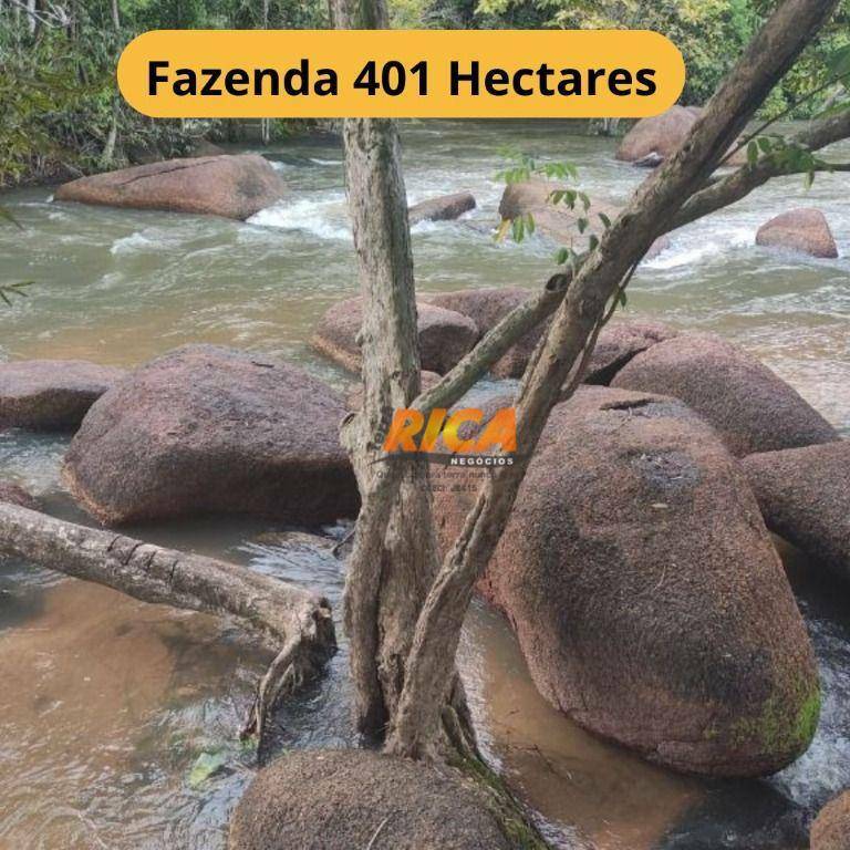 Fazenda-Sítio-Chácara, 401 hectares - Foto 1