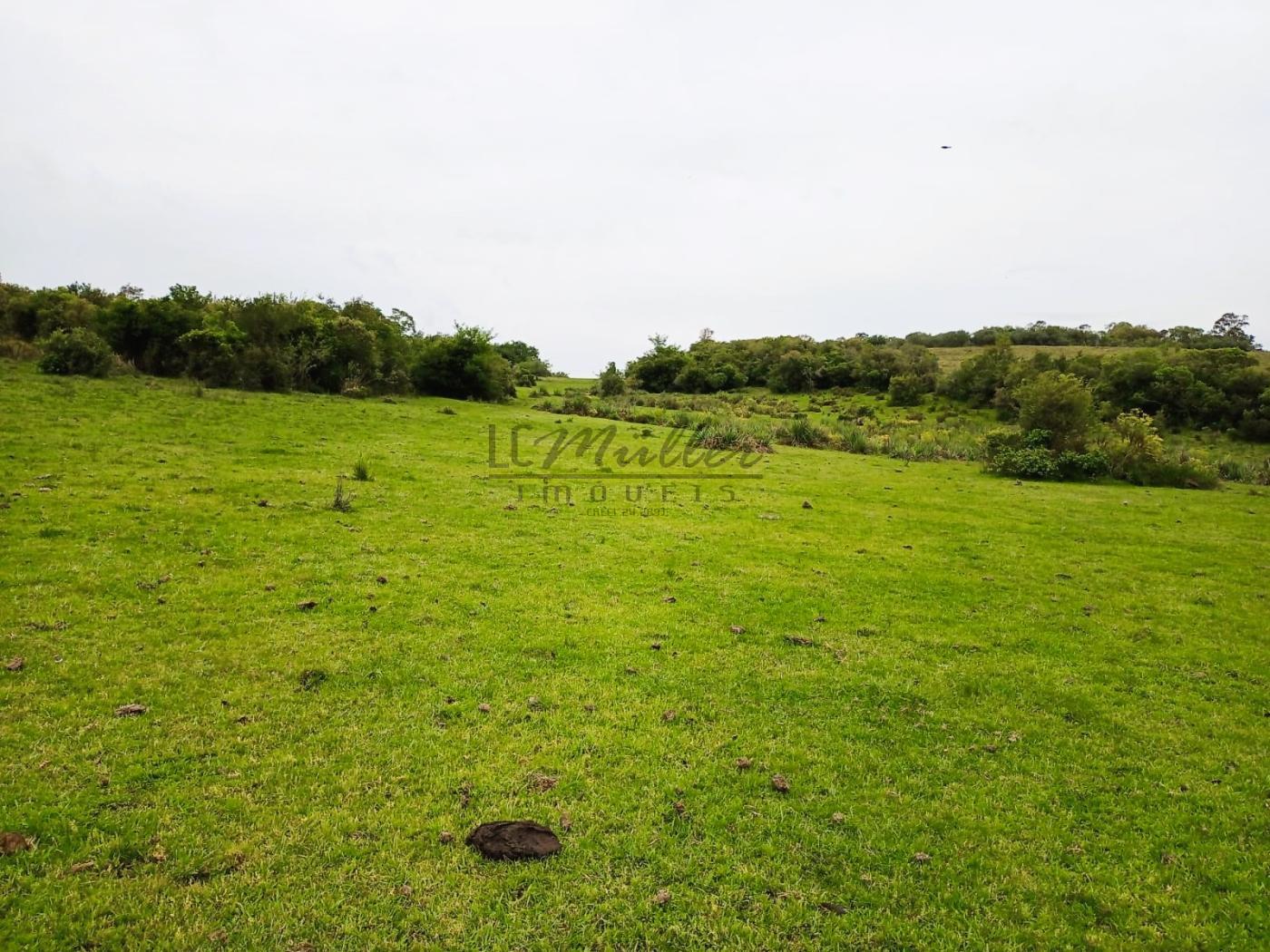 Fazenda à venda, 208m² - Foto 9