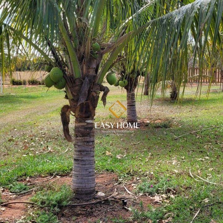 Chácara, 2 quartos, 6 hectares - Foto 1