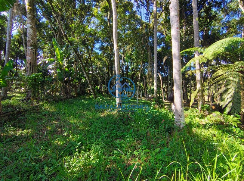 Chácara à venda com 1 quarto, 1000m² - Foto 6