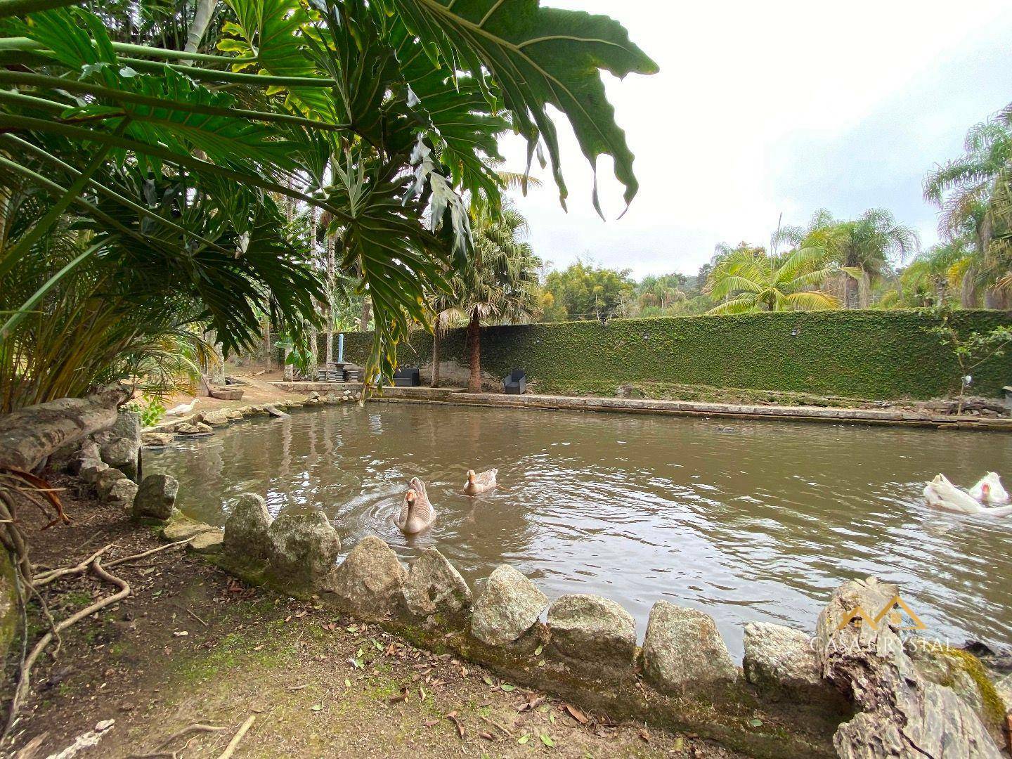 Chácara, 2 quartos, 1 hectares - Foto 4