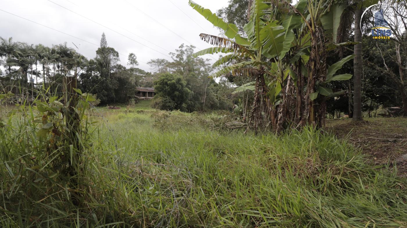 Fazenda à venda com 2 quartos, 50m² - Foto 2