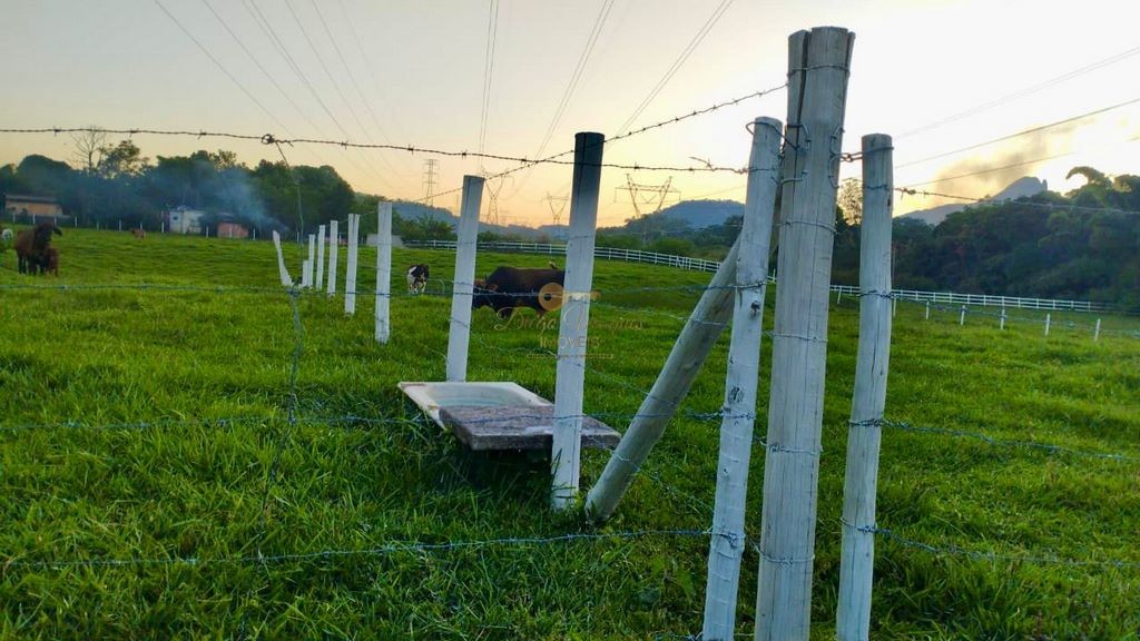 Fazenda à venda com 2 quartos, 90000m² - Foto 11