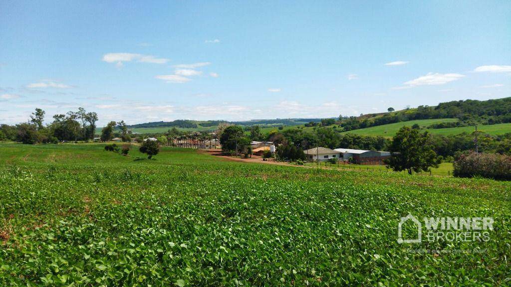 Chácara à venda com 1 quarto, 13600M2 - Foto 10