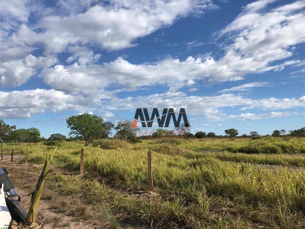 Fazenda à venda, 10357600M2 - Foto 5