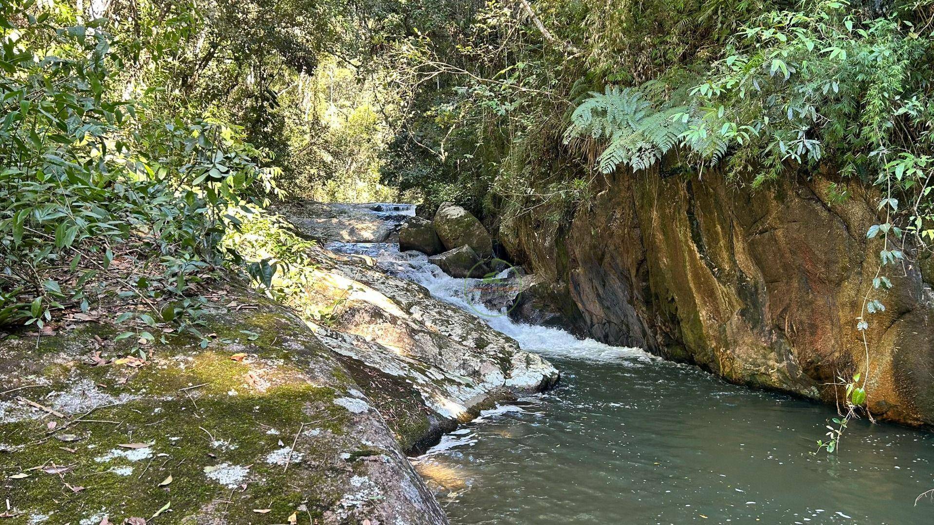 Sítio, 19 hectares - Foto 57