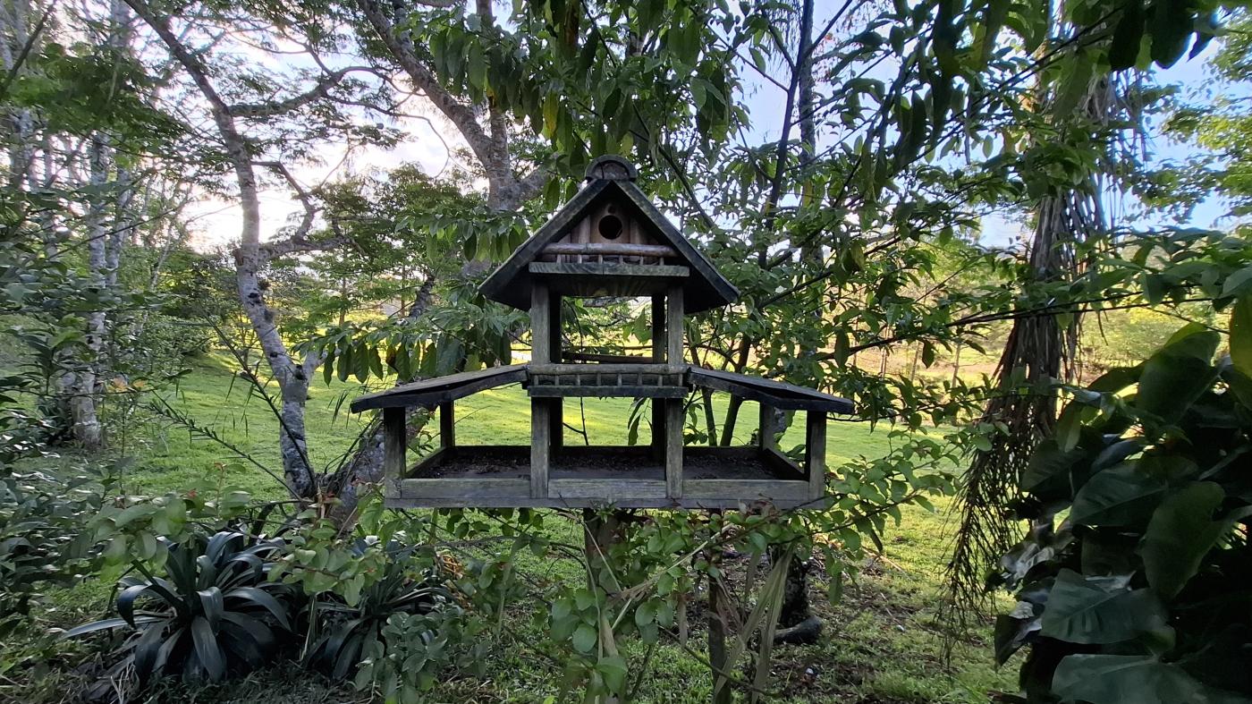 Fazenda à venda com 2 quartos, 8000m² - Foto 29